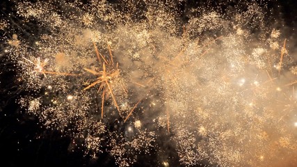 White and red fireworks display on dark sky background. Brightly colorful fireworks on twilight background