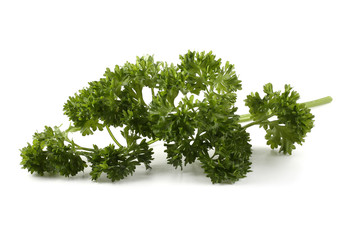 Parsley isolated on white