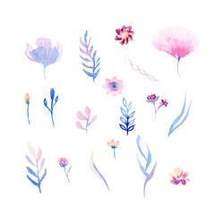 watercolor set of flowers and leaves, purple, blue, pink, yellow