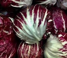 Obraz premium red cabbage