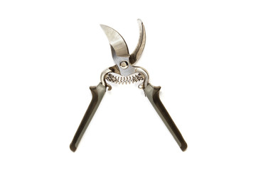 Secateurs on a white background. Garden tools