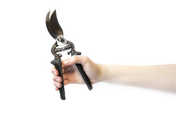 Secateurs in hand on a white background. Garden tools