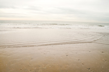 seashore in the north sea