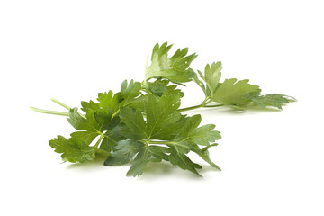 Parsley isolated on white