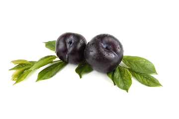 Plums and leaves