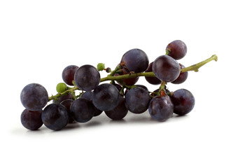 Black wine grape