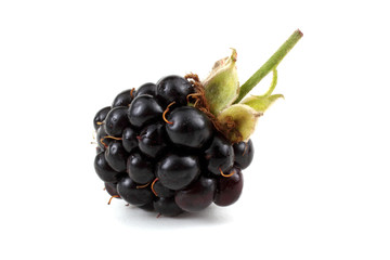 Blackberry
