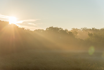 Naklejka na ściany i meble Beautiful sun rays over urban natural park trail near Dallas, Texas, USA