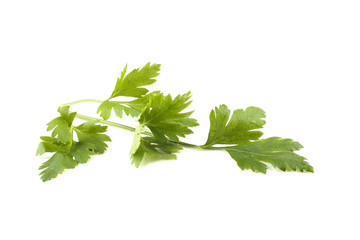 Parsley
