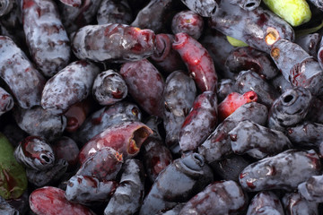 Honeysuckle berries background