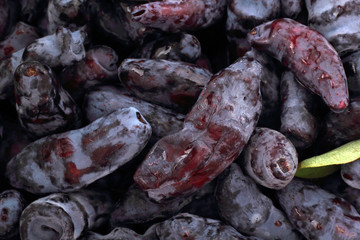 Honeysuckle berries background