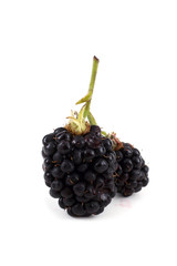 Blackberries