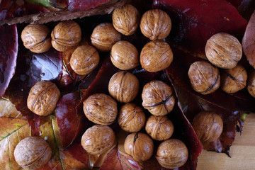 Walnuts on table