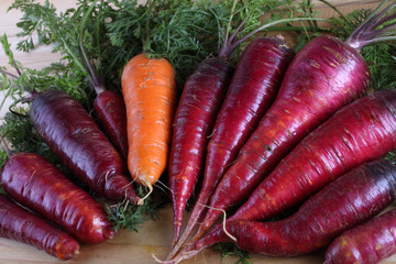 Carrots on table