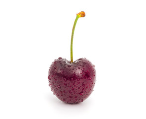 Fresh isolated red Cherry with droplet on white background.