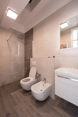 luxury stylish bathroom interior