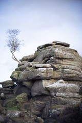 Yorkshire sandstone eroded rock outcrop