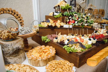 Meat and cheese appetizers. Antipasti and catering platter with different meat and cheese products.