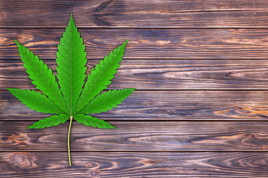 Medical Marijuana or Cannabis Hemp Leaf. 3d Rendering