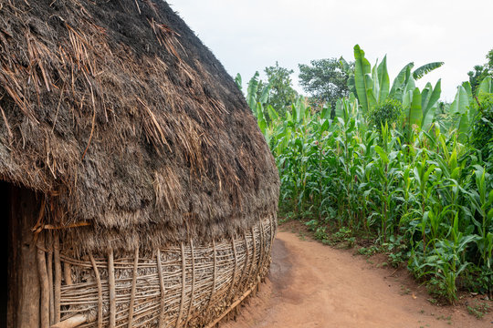 Tukul 이미지 찾아보기 84 스톡 사진, 벡터 및 비디오 Adobe Stock