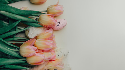 easter willow branch, tulips flowers, colorful egg