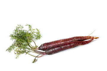 Violet carrots and leaves