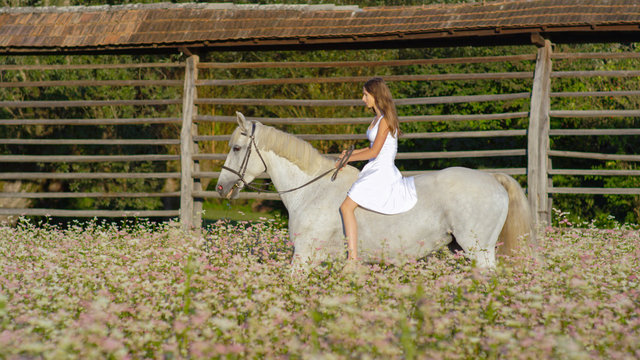 DOF: Girl in white dress bareback riding white horse on pink flowering field