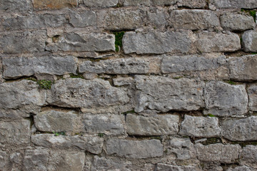 Old natural stone wall with plants and moss growing out of the cracks background