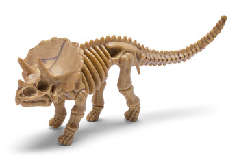 Fototapeta na wymiar Dinosaur Skeleton