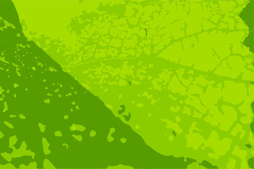 green leaf illustration for background, print, net