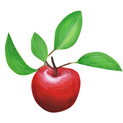  collection. Red Apple. Fruit set. Pattern. Border. Frame. Hand drawing. Delicate fruit drawn and isolated in gouache in the style of realism. Suitable for corporate identity, concentration.