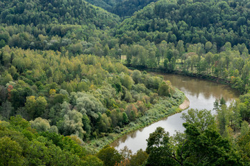 Fototapeta na wymiar Bird's eye view of mighty forest on rainy day and river. Europian mixed wood