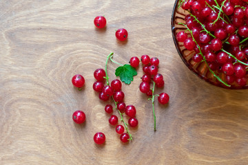 Transparent bowl full of juicy red current berries on wooden table. Freshly picked ripe red currants in plate on dark rustic wooden table.