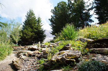 Landscape in a botanical garden in the Alps