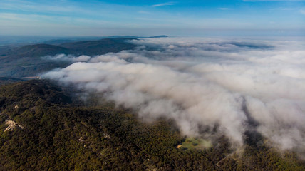  Aerial view from drone of forest and clouds