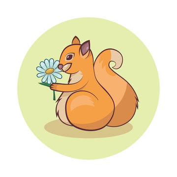 Squirrel cartoon vector illustration illustration isolated on white background