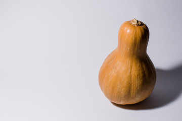 pumpkin on a white background