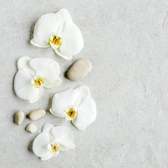 Beautiful tropical orchid flowers on marble grey background. Flat lay, top view