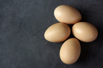 Chicken eggs on a dark background
