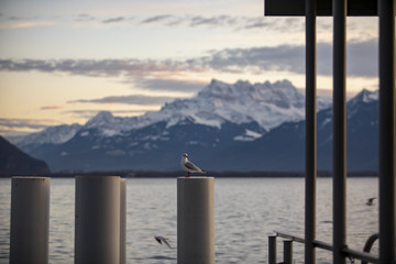 View of the mountain from montreux