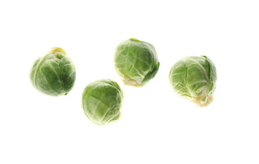 Fresh brussels sprout isolated on white background