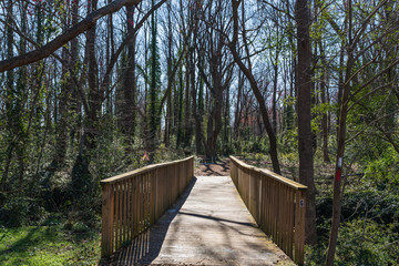 wooden bridge in the forest - Chesapeake Virginia