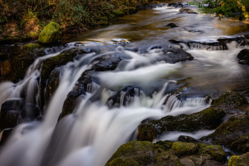 Fototapeta na wymiar waterfall in forest Lebanon Oregon McDowell Creek