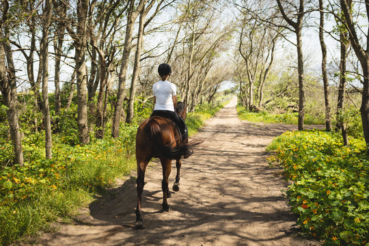Caucasian woman riding her horse