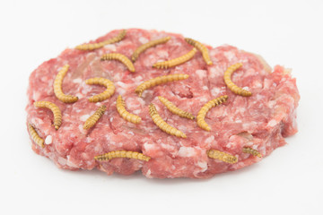 Burger with endible worm in white background