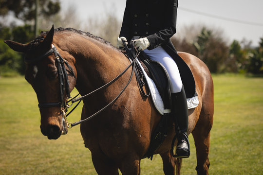 Caucasian woman sitting on her dressage horse
