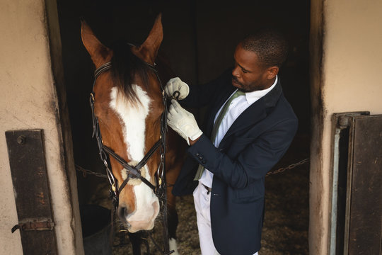 Man preparing his dressage horse before riding