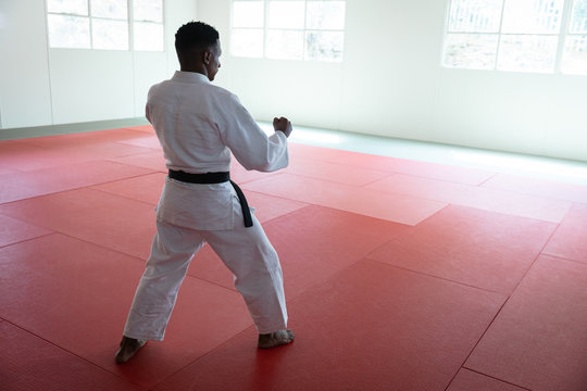 karateka striking a pose in a gym