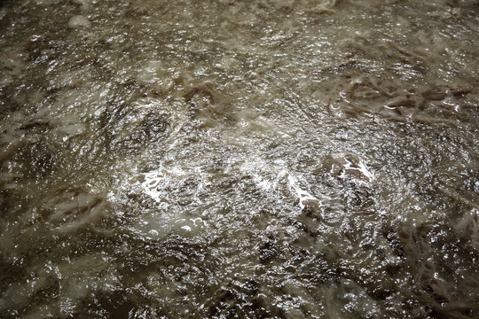 Aspic broth from pork knee and pork trotter