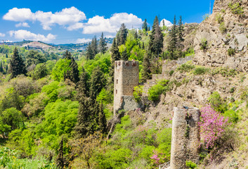 The ancient fortress of Narikala. View from the side of the National Botanical Garden. Georgia....